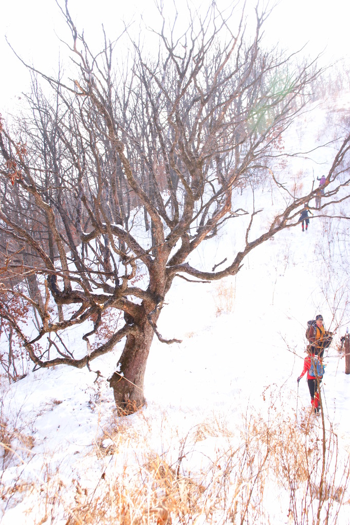 몽덕산 ~ 가덕산 ~ 북배산 겨울 종주산행(15.1.24) 인기 백대명산 제72위