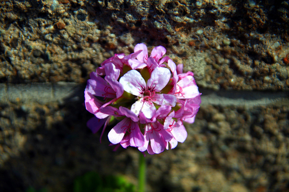 더블클릭을 하시면 이미지를 수정할 수 있습니다