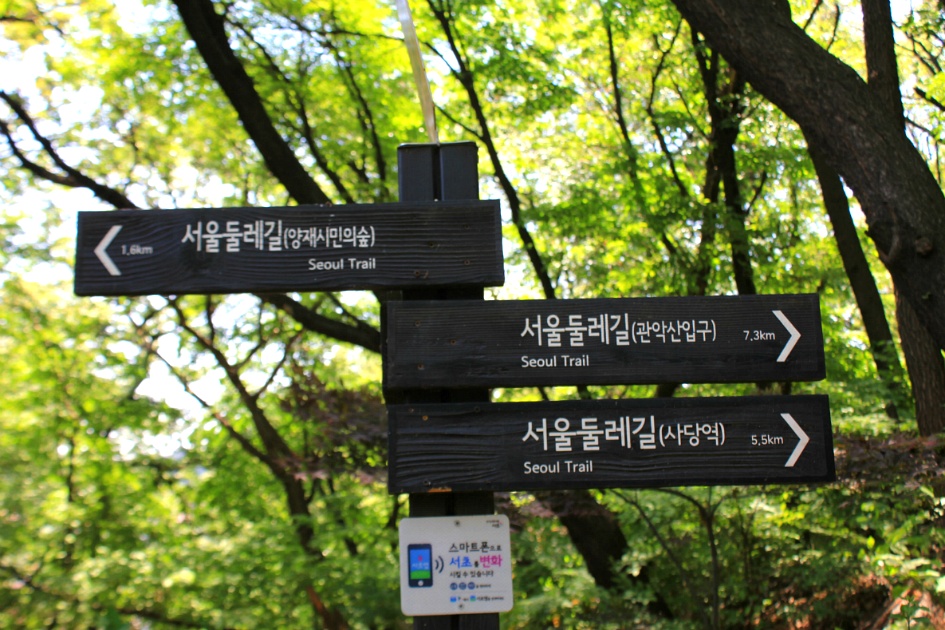 서울 우면산 산행 / 20170519(금)