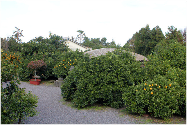 더블클릭을 하시면 이미지를 수정할 수 있습니다