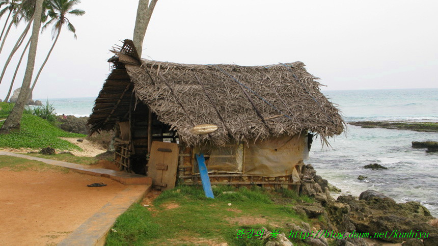 Stilt fishing(스리랑카)-한강의 꽃
