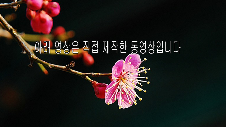 봄이오는 길목