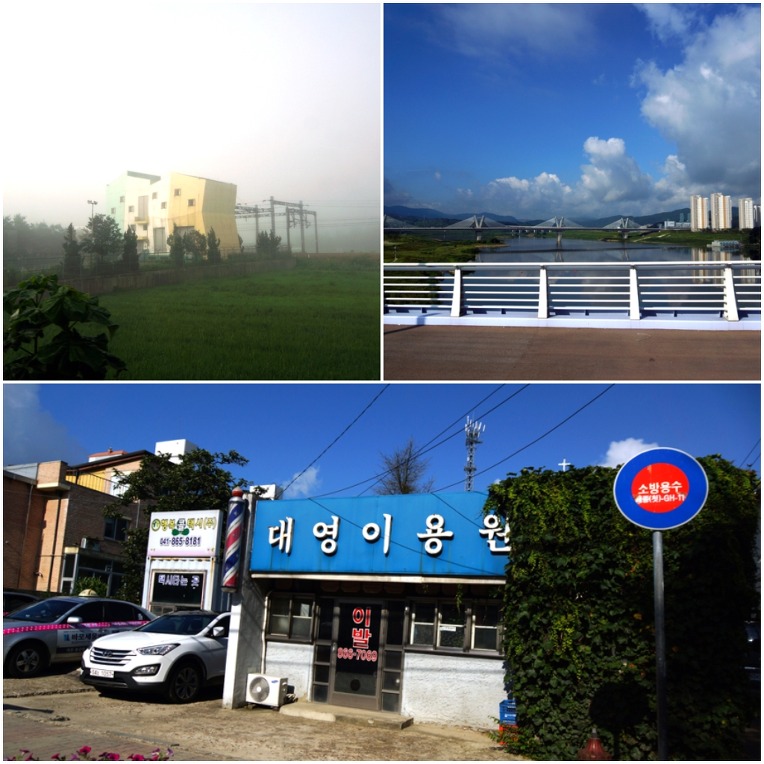 협동조합 블루 이미지