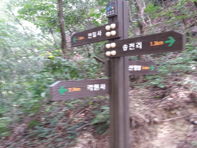 시내버스주차장 이미지