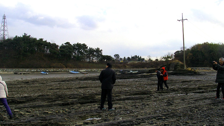 276CEF4D54969723220586