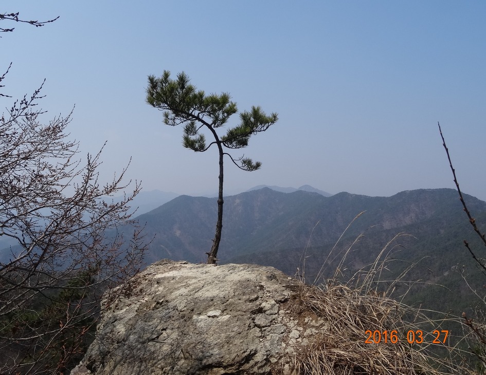 상생힐링 이미지
