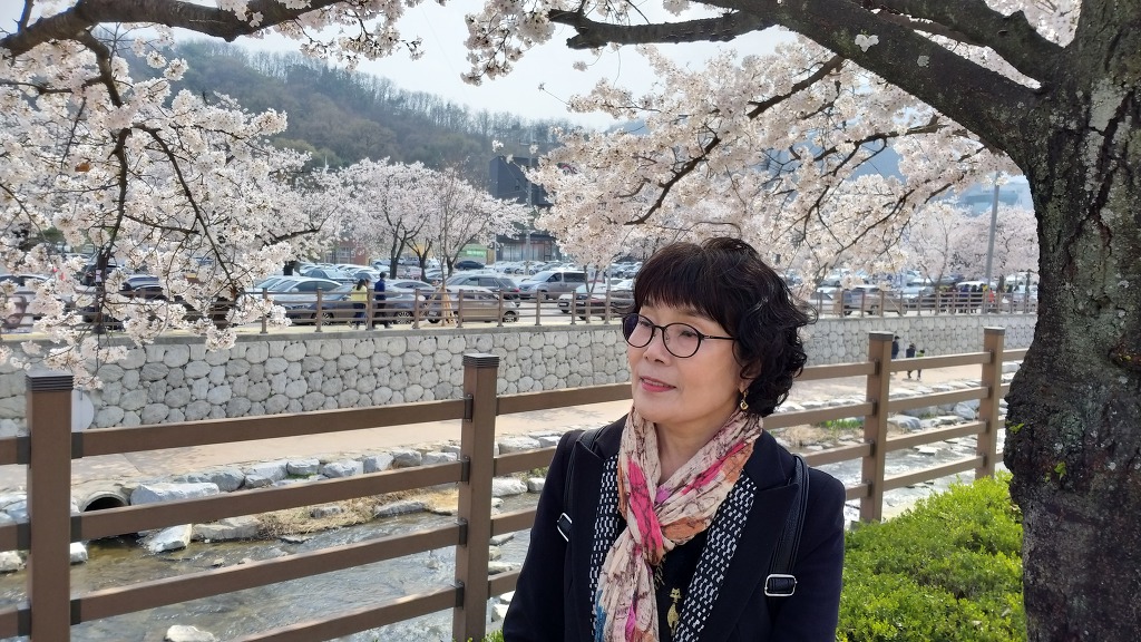 벚꽃따라걷는길
