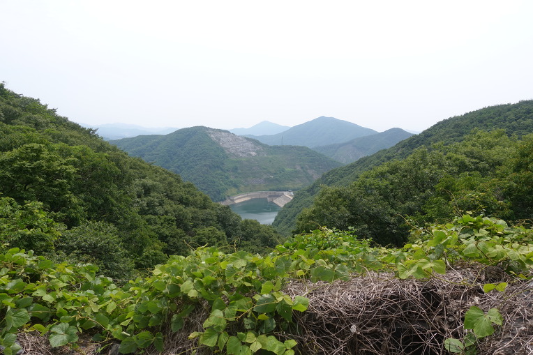 화락산 이미지