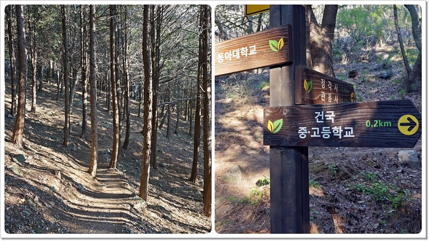 부산 구봉산~엄광산~구덕산~승학산 등산코스
