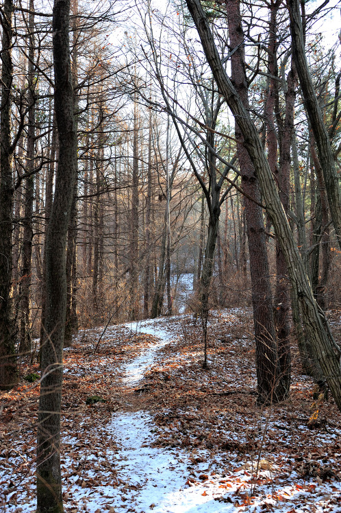 지리산 둘레길 3코스, 그리고 금대암