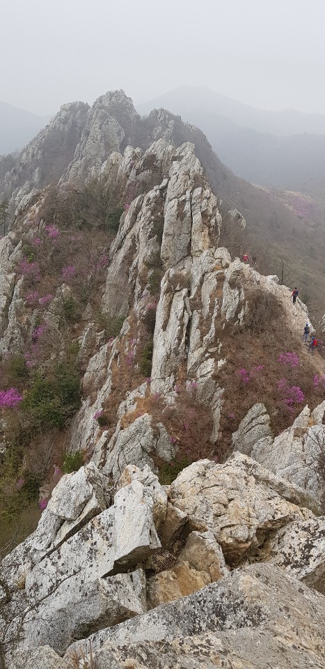 덕룡산2019,4,7)