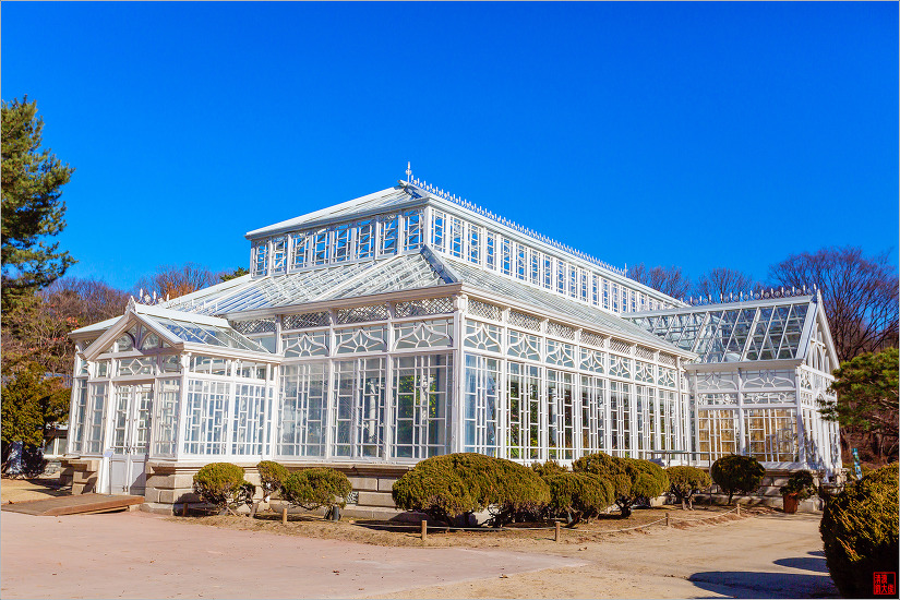 겨울날 창경궁 대온실을 찾았던 날에....