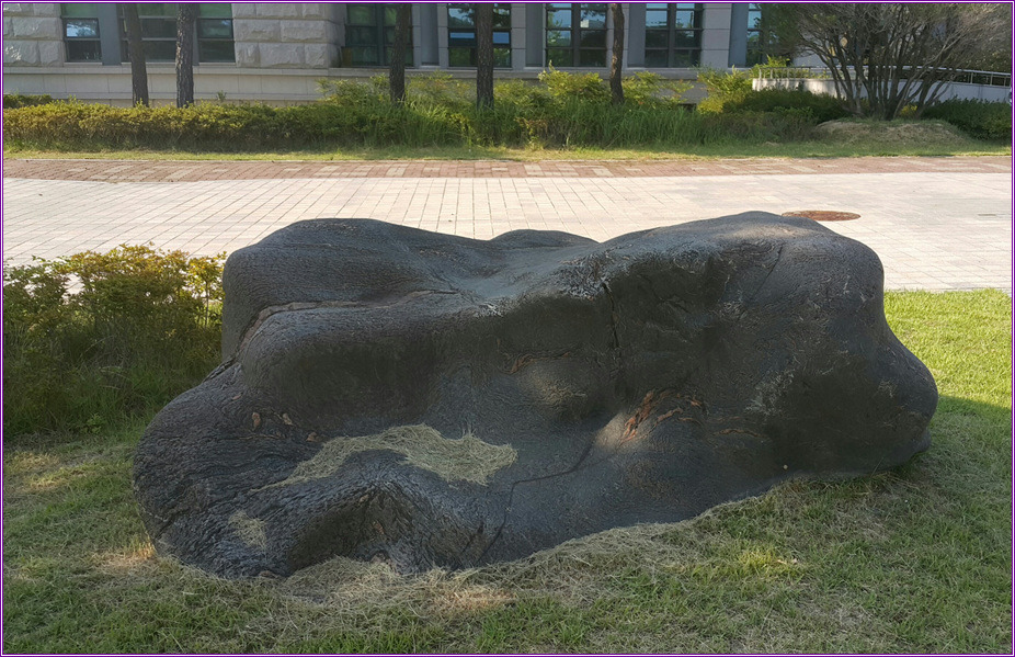 경주동국대 교정에있는 경관석 2점 