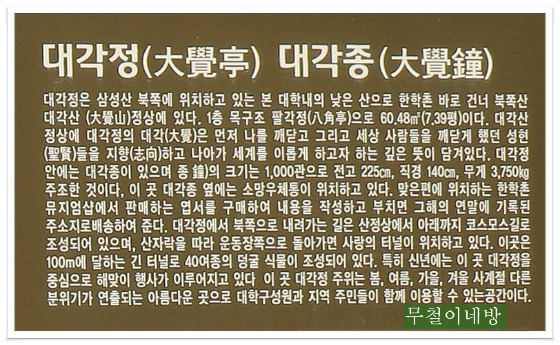 대각정 이미지