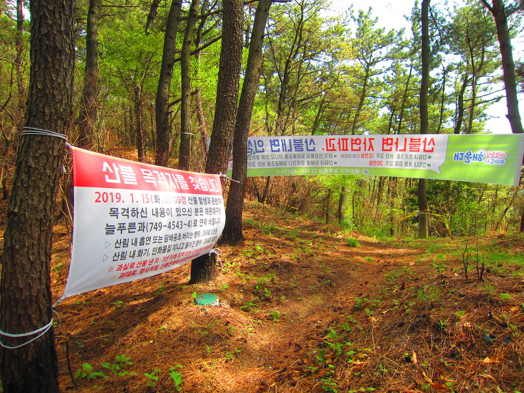 부산 해운대 장산(2019. 04. 08)