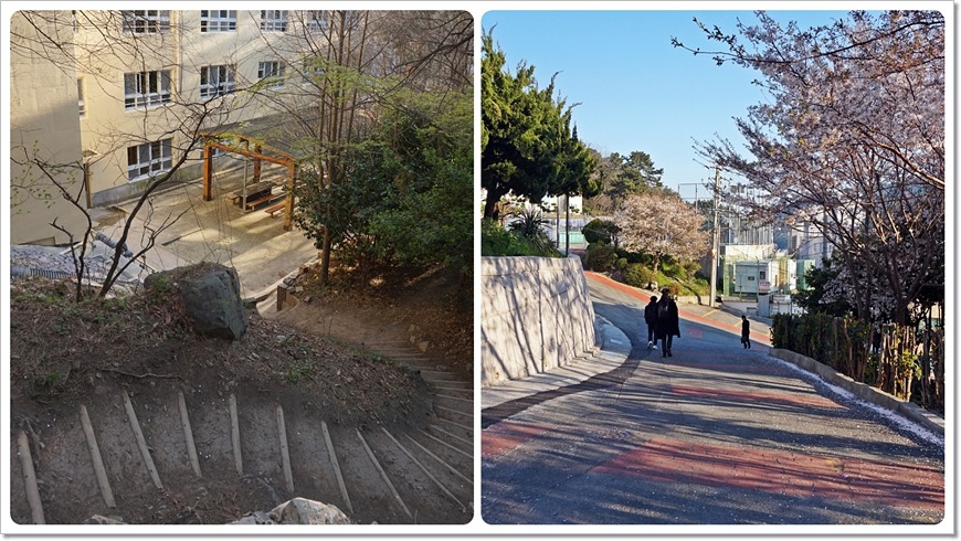 부산 구봉산~엄광산~구덕산~승학산 등산코스