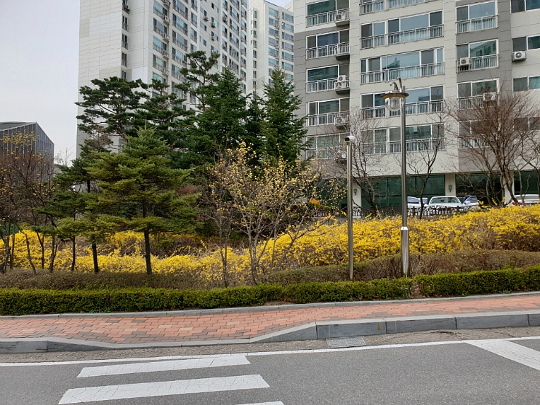 산책을 하면 기분이 좋아져요/ 우리 아파트에서 ....