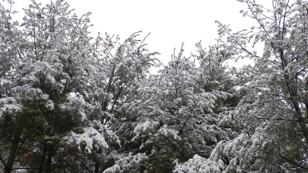 봄날에 설경을 보다.