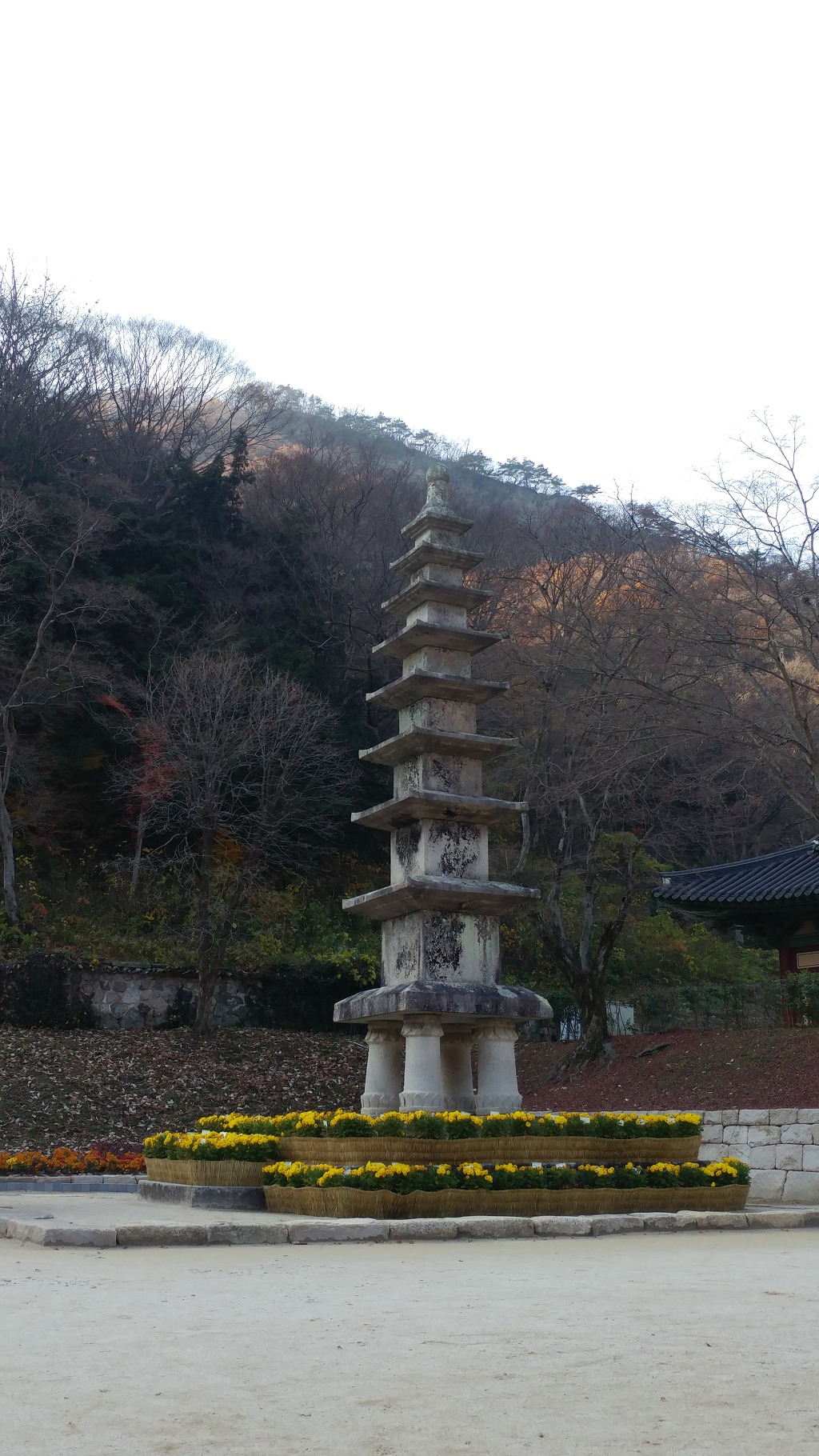 백양사