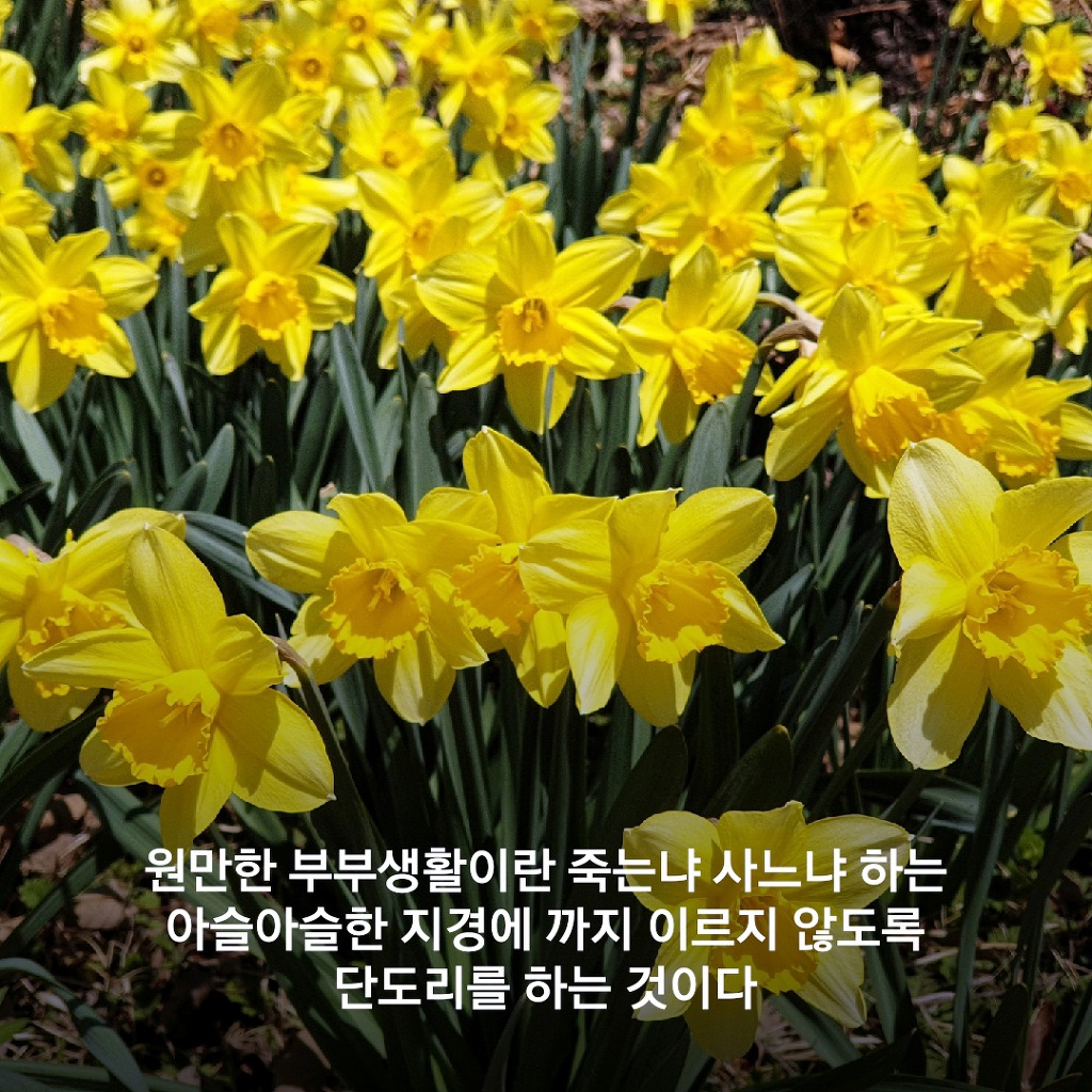 침묵은 