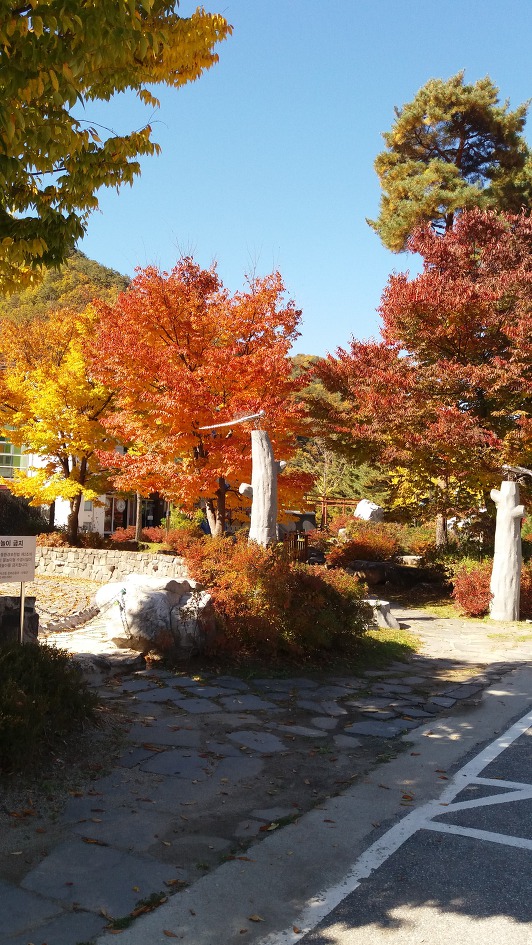 가을 풍경
