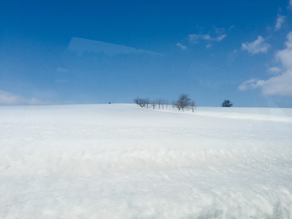 홋카이도(北海道)삿포로자유여행 삿포로 비에이 탁신관 준페이(새우덮밥) 흰수염폭포 