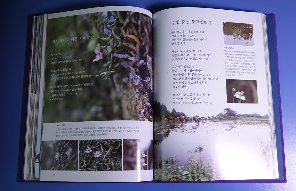 제주도 야생화 시집을 펴내며