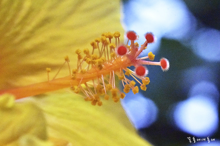 셰익스피어가 중년에게 주는 교훈 아홉가지 