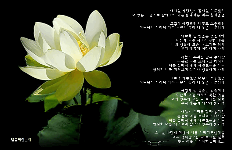 이창휘 - 천상연