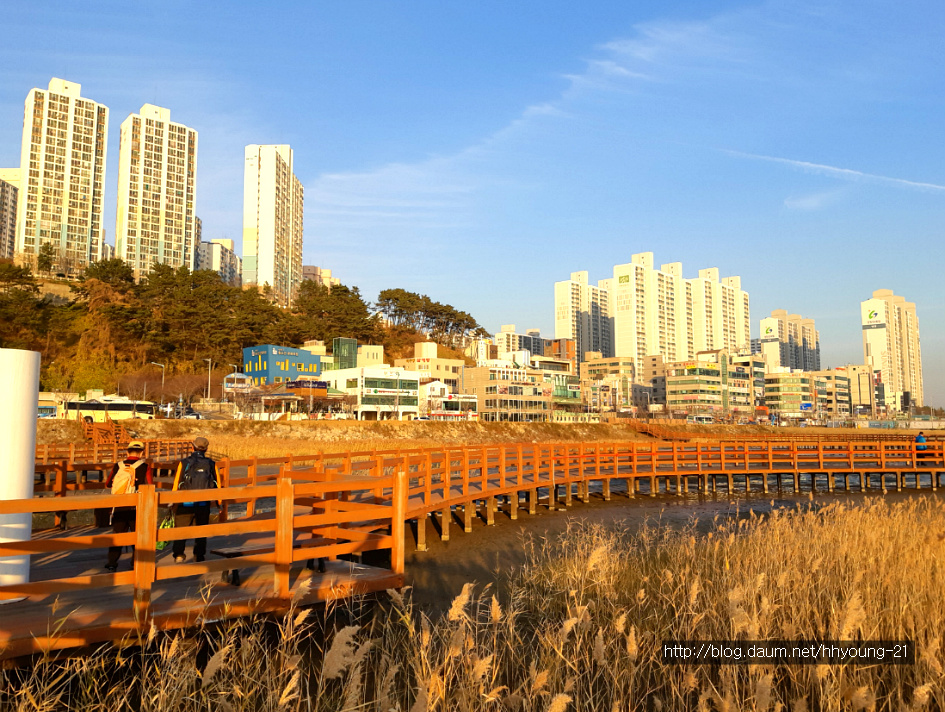 부산 사하구 다대동 아미산(234.1m) 둘레길에서....