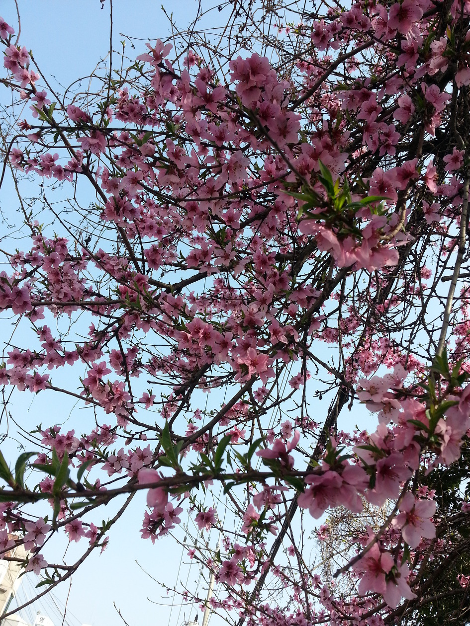 중앙공원