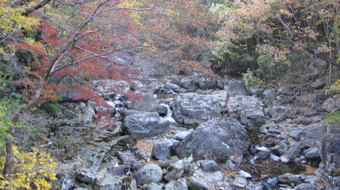 지리산 피아골 단풍 산행기