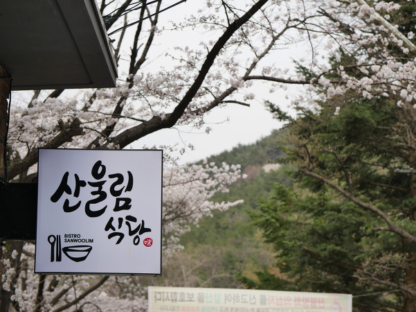 앞산 공원 답사