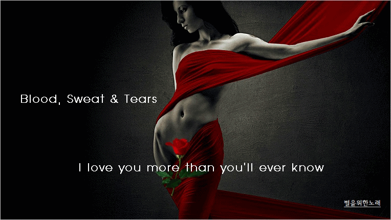 Blood, Sweat & Tears - I love you more than you'll ever know