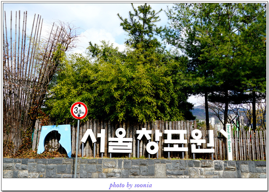 도봉구 창포원과 평화 문화진지 하늘이 예뻤던 날