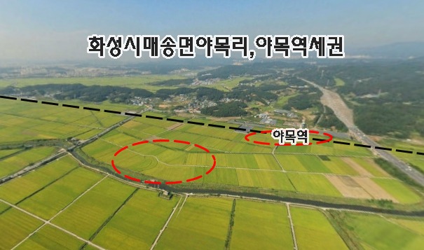 오늘의 물건 