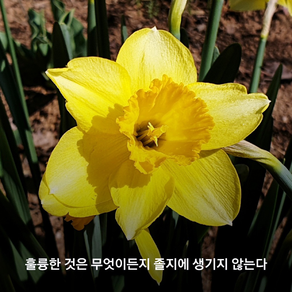형제는 수족과 같고 