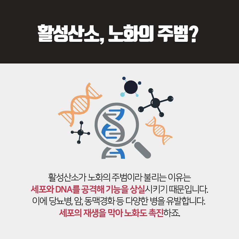 활성산소 너 누구니?