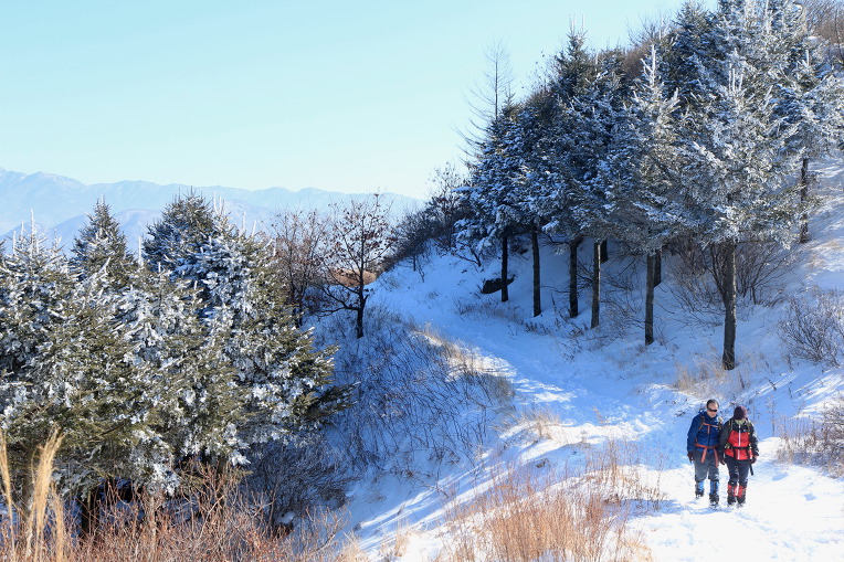 * 지리산 바래봉 눈꽃 산행기 