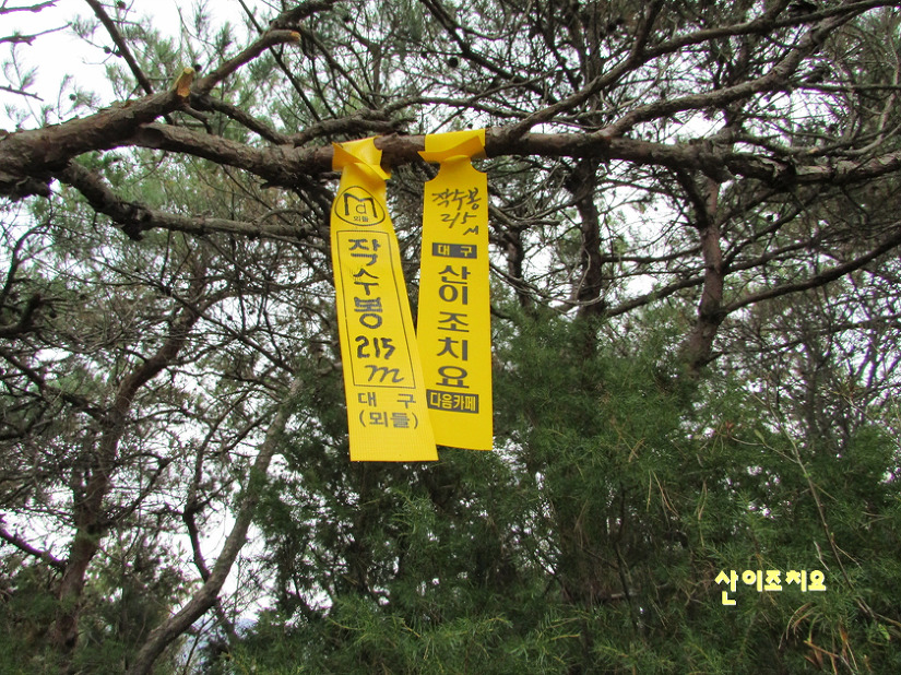 315오산 이미지
