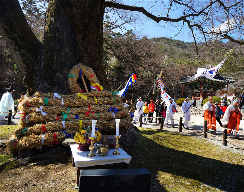 좋은생각 2018 블로그공모전 & 사진공모전 수상작들