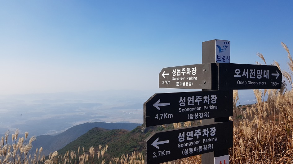 서해안 최고봉 오서산 억세 놀이
