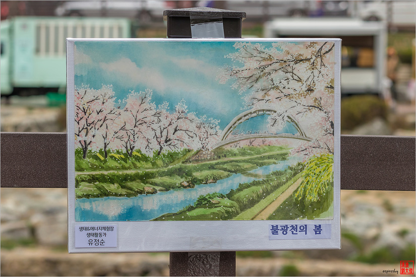 불광천 벚꽃축제 (2019.04.5~6)