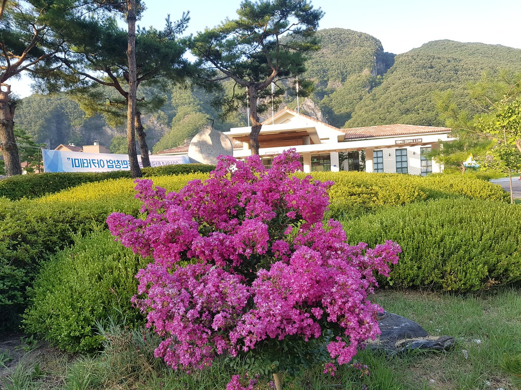아프리카가 여기 있네.
