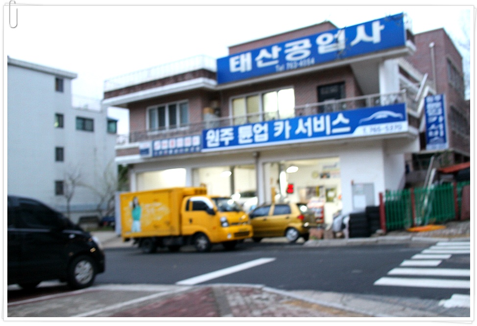 봄빗속[거리/운무/꽃]풍경!!